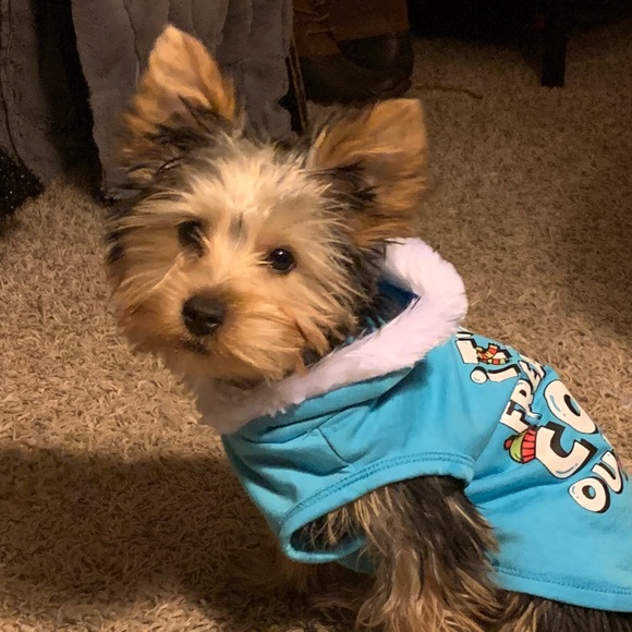 Meet your Posher, Christina - Picture 1 of 1